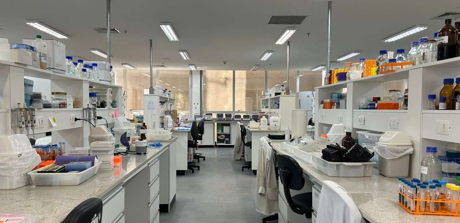 lab